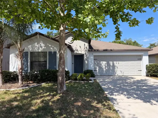 12707 Lemon Pepper Drive, RIVERVIEW, FL 33578