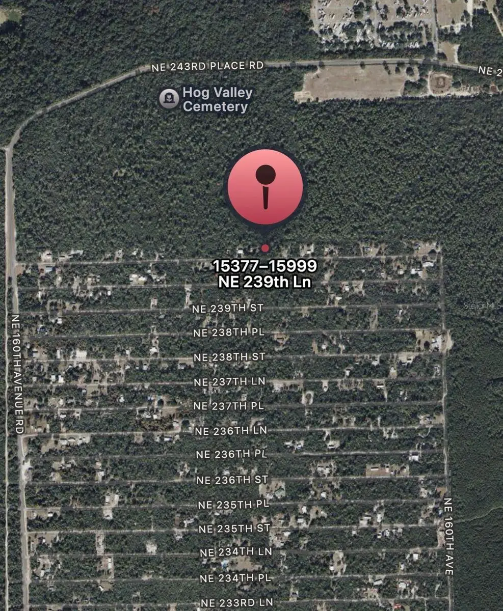 Ne 239 Ln, Fort McCoy, FL 32134 - #1