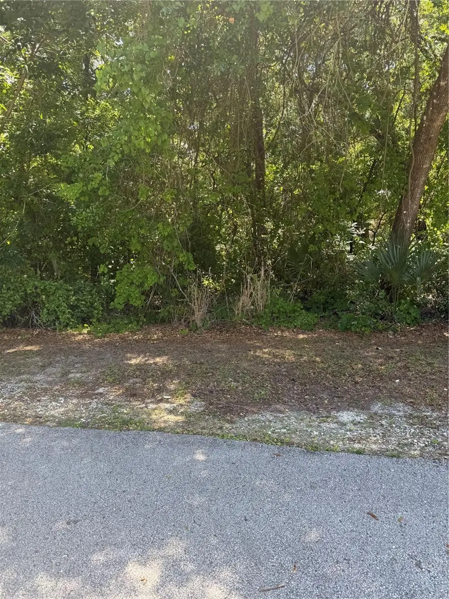 1797 W Union Street, Hernando, FL 34442 - #1