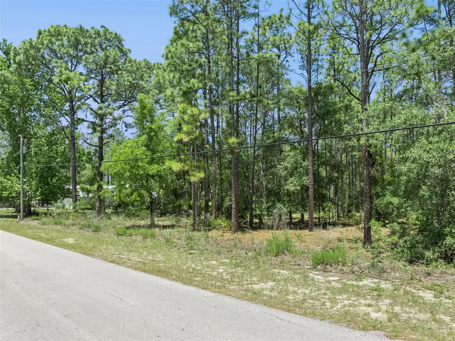 1797 W Union Street, Hernando, FL 34442 - #2