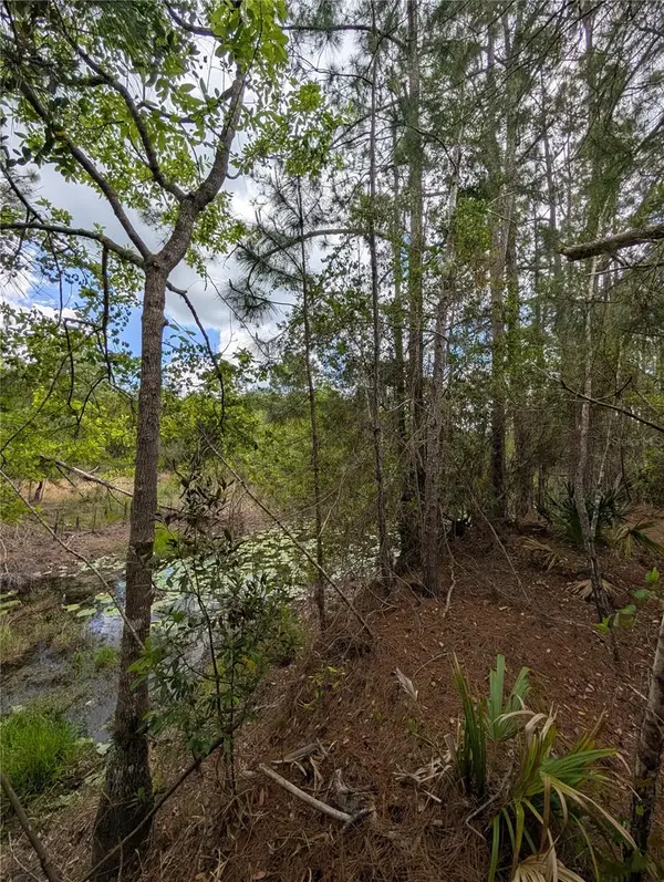 38521 Ilex Trail, EUSTIS, FL 32736