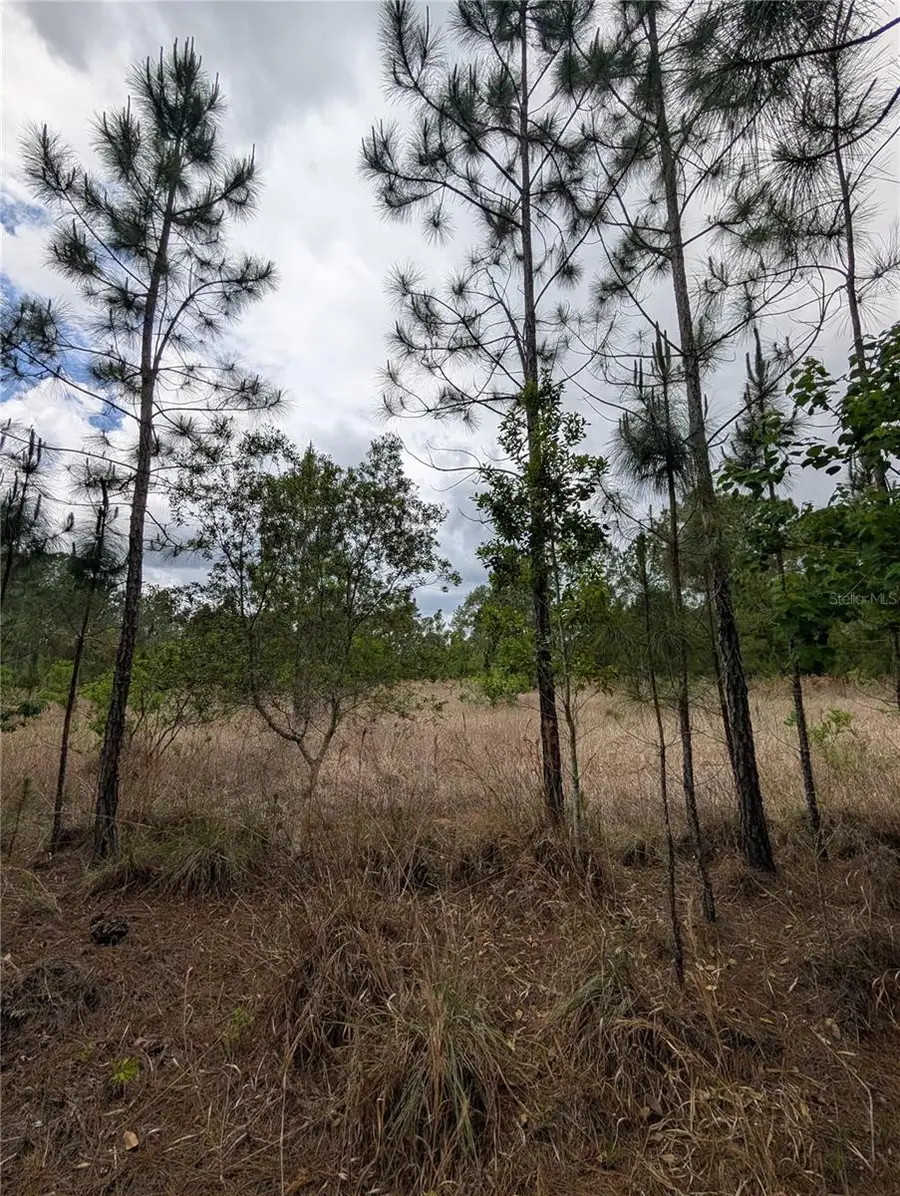 38521 Ilex Trail, Eustis, FL 32736 - #2