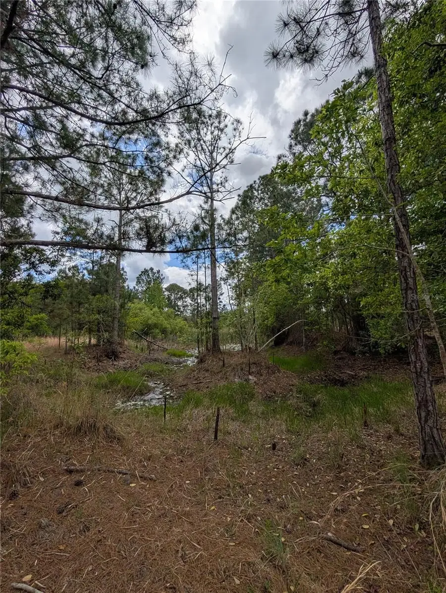 38521 Ilex Trail, Eustis, FL 32736 - #3