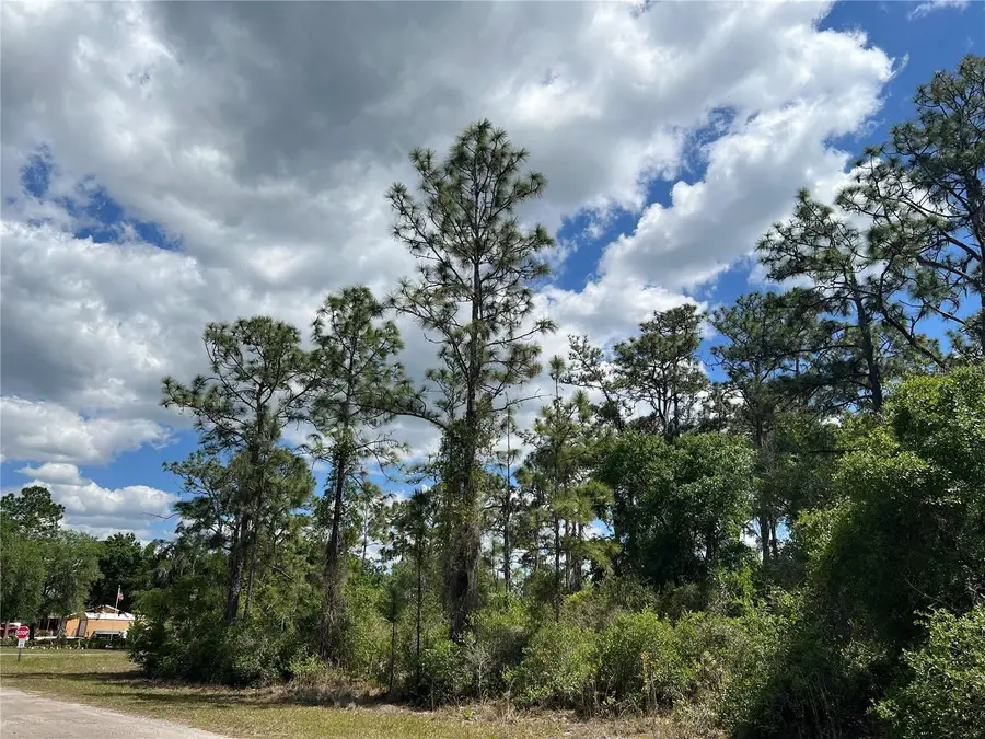 901 Azalea Drive, Indian Lake Estates, FL 33855 - #2