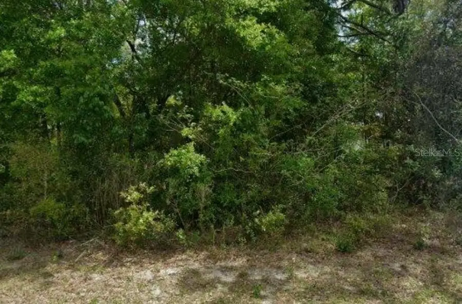 1578 W Evergreen Drive, Citrus Springs, FL 34434 - #2