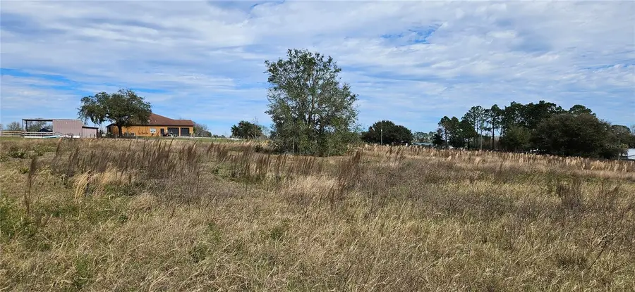 24207 Turkey Lake Road, Howey In The Hills, FL 34737 - #2