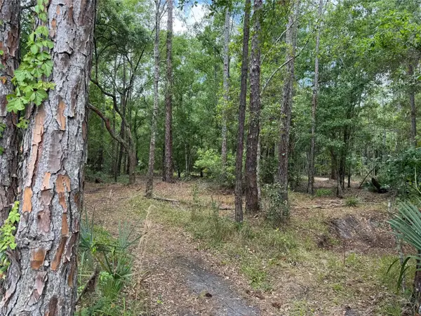 552 Buckshot Avenue, OSTEEN, FL 32764