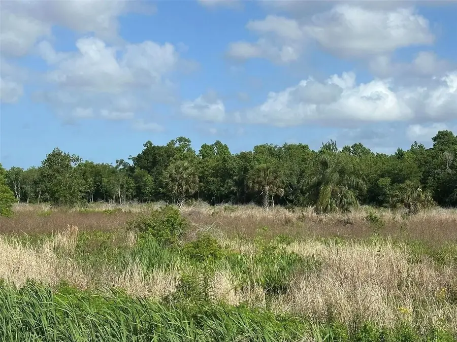 Howard Avenue, Oviedo, FL 32765 - #3