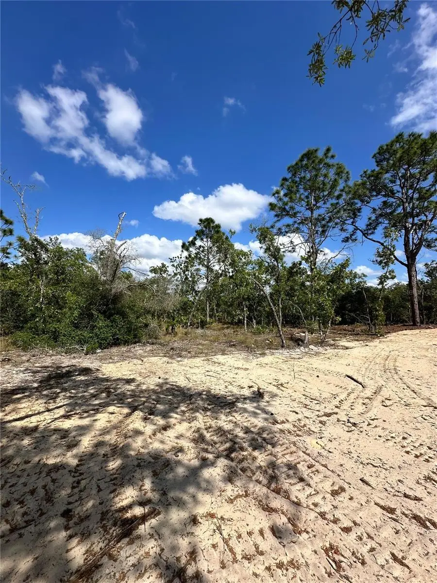 3239 W Kirkwood Place, Dunnellon, FL 34433 - #2
