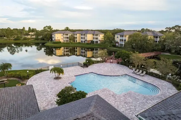 4107 Chatham Oak Court #313, TAMPA, FL 33624