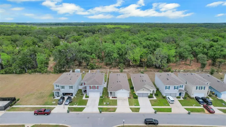 30112 Armenia Road, Leesburg, FL 34748 - #3