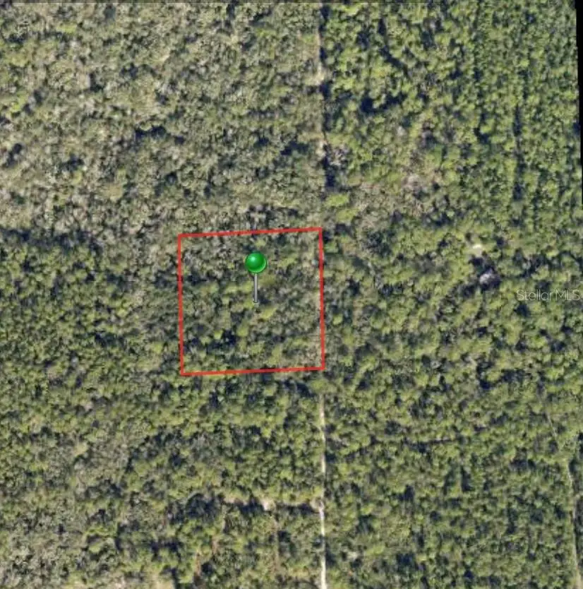 Lake Harney Road, Osteen, FL 32764 - #1