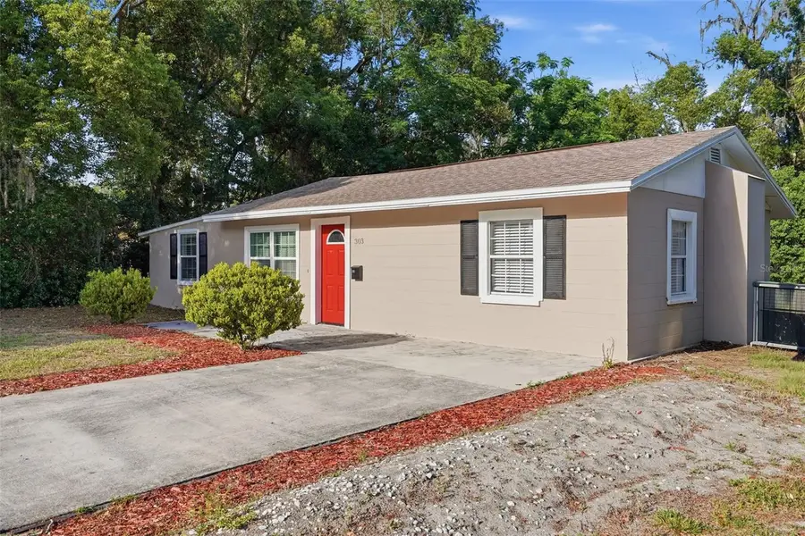 303 Josephine Avenue, Fruitland Park, FL 34731 - #2