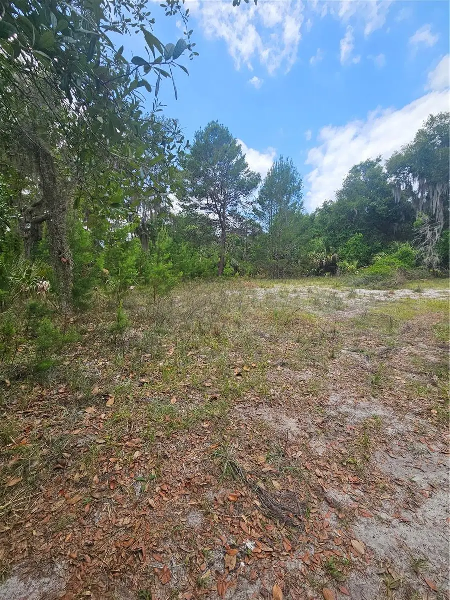 0000 Culver Way, Geneva, FL 32732 - #3