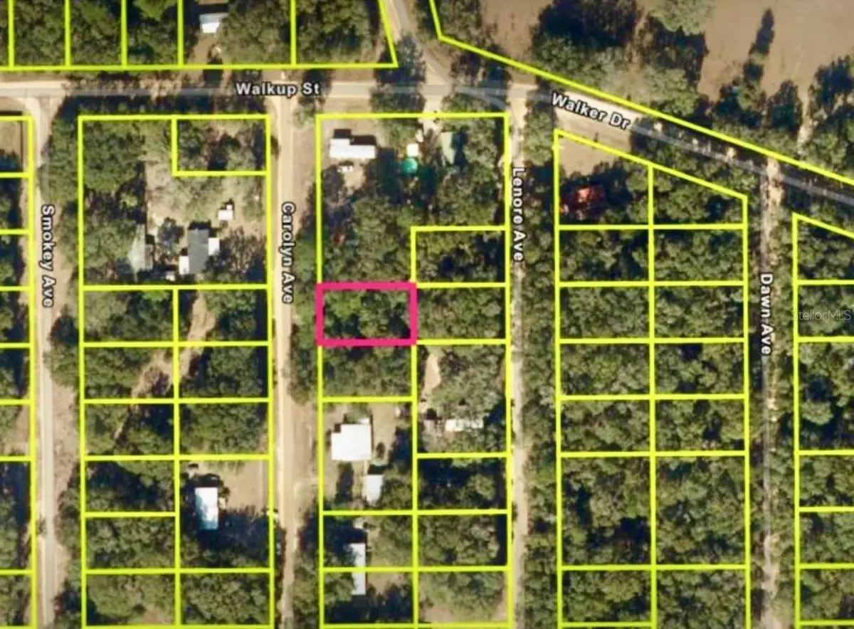 Carolyn Avenue, Interlachen, FL 32148 - #1