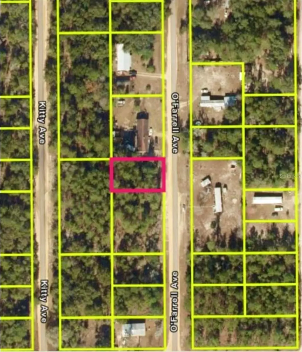 N O'farrell Avenue, Interlachen, FL 32148 - #1