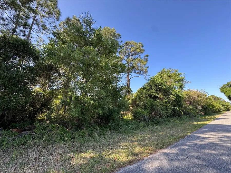 241 Phantasy Avenue, Lake Placid, FL 33852 - #2