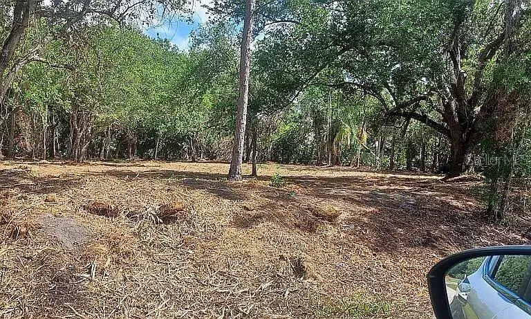 24614 Tangerine Avenue, Punta Gorda, FL 33980 - #2