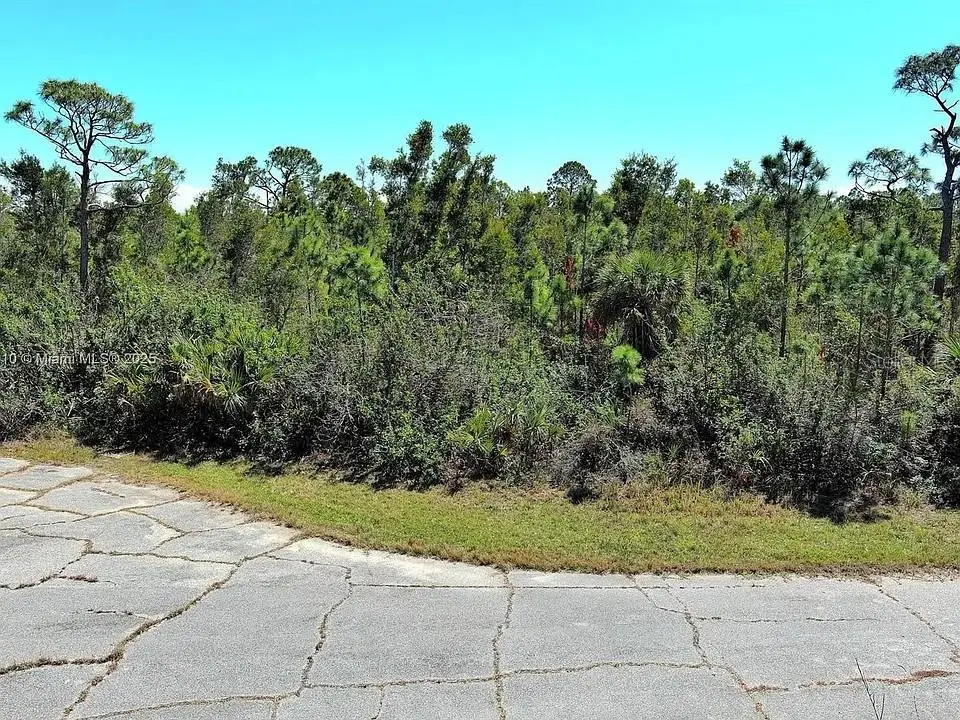 Address Withheld By Seller, Placida, FL 33946 - #1