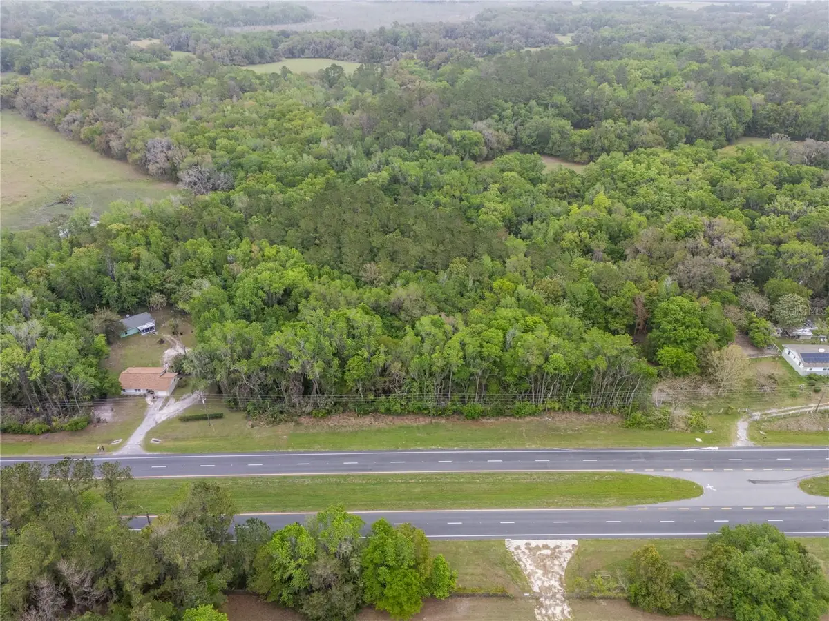 17819 Sr-25, Micanopy, FL 32667 - #1