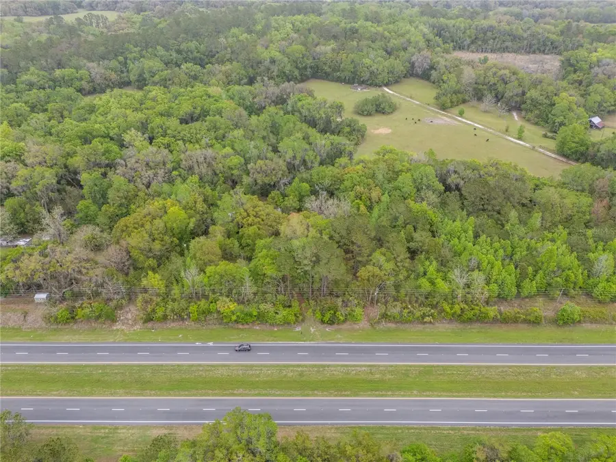 17819 Sr-25, Micanopy, FL 32667 - #2