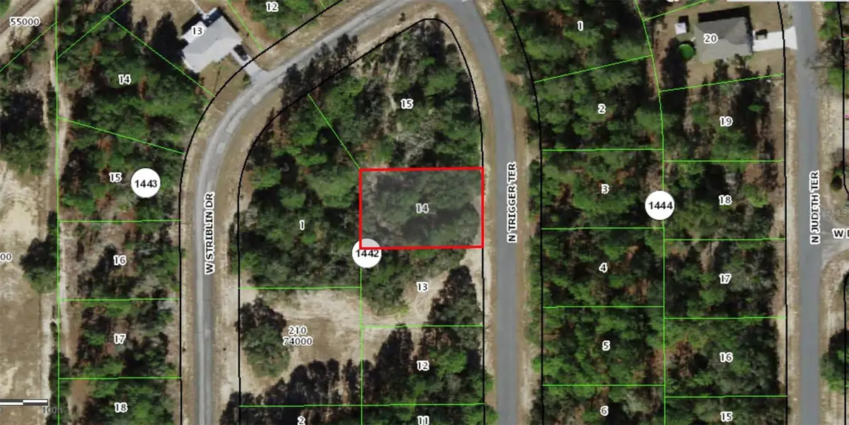 11126 N Trigger Terrace, Citrus Springs, FL 34433 - #1