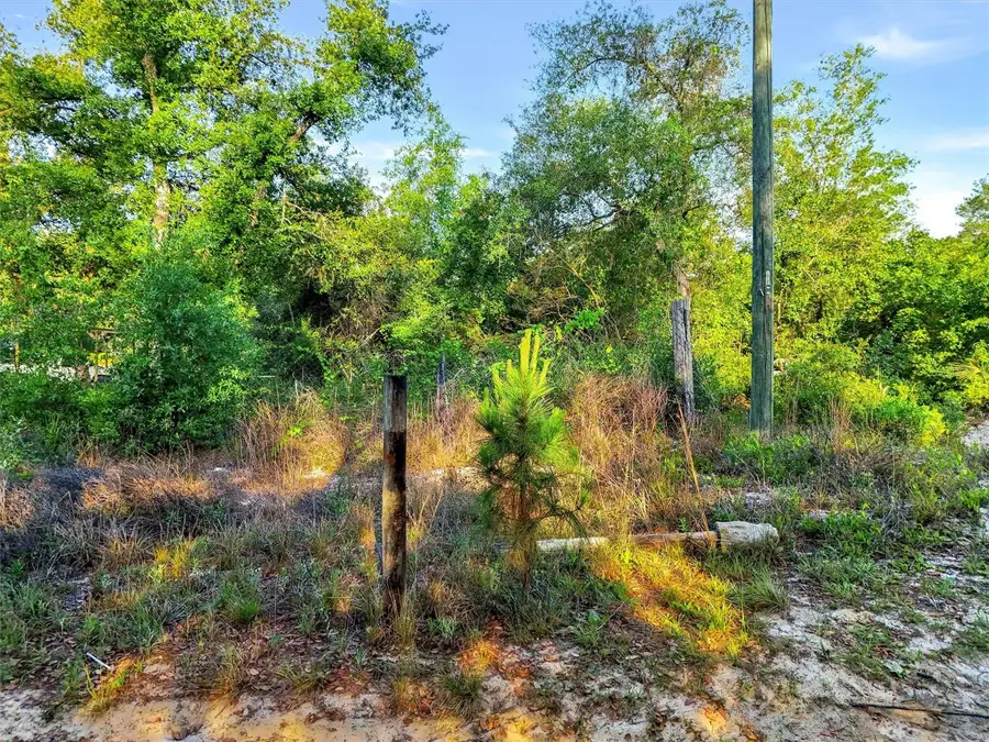 Jewell Drive, Deland, FL 32720 - #3