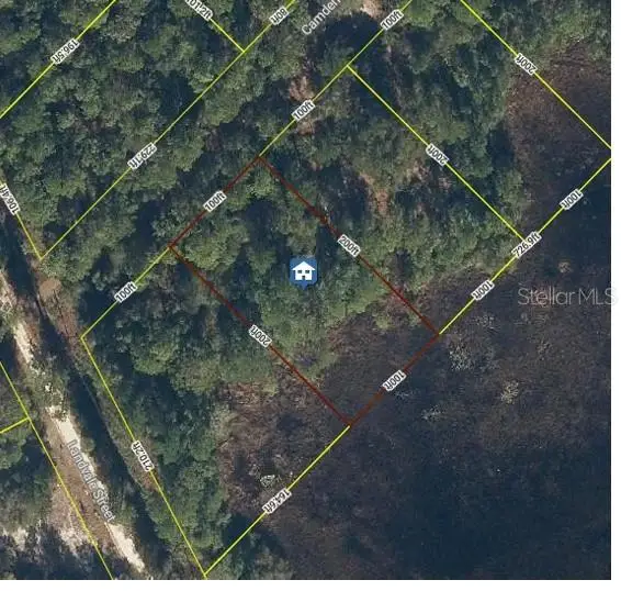 103 Brierly Street, Georgetown, FL 32139 - #1