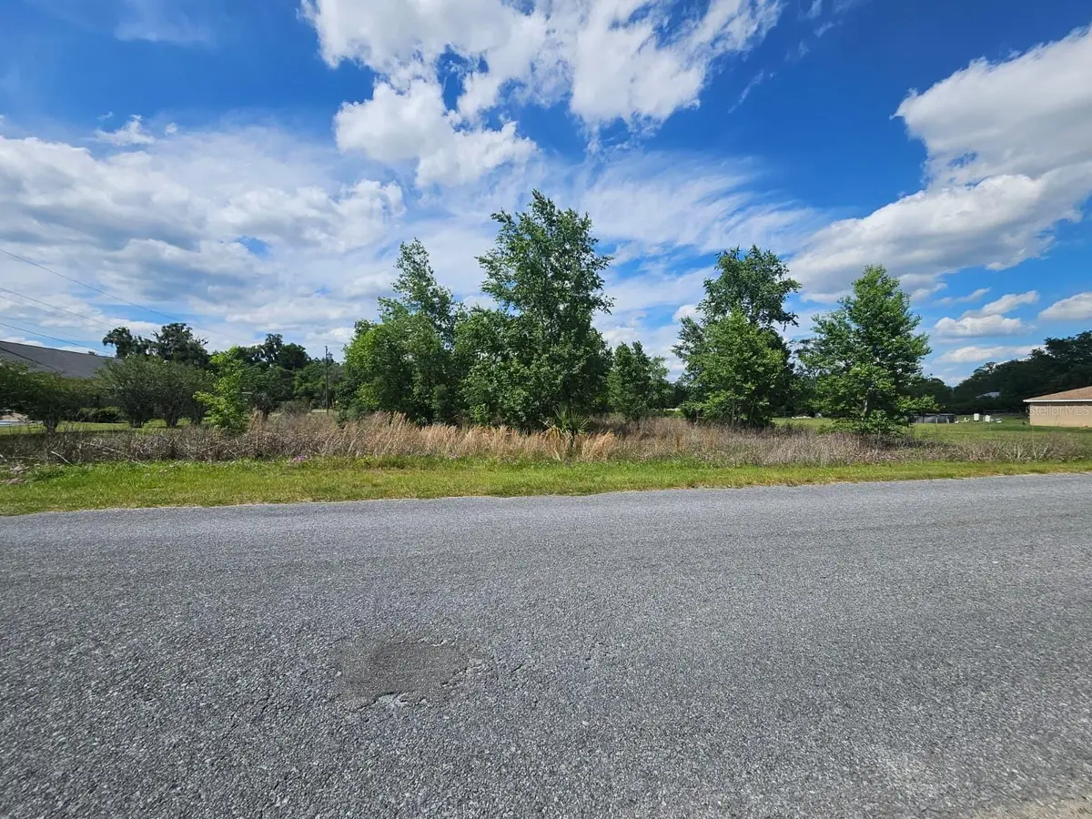 SE 140th Street, Summerfield, FL 34491 - #1