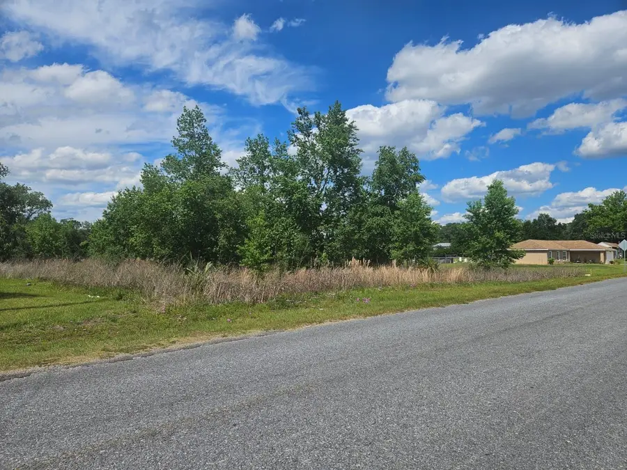 SE 140th Street, Summerfield, FL 34491 - #2