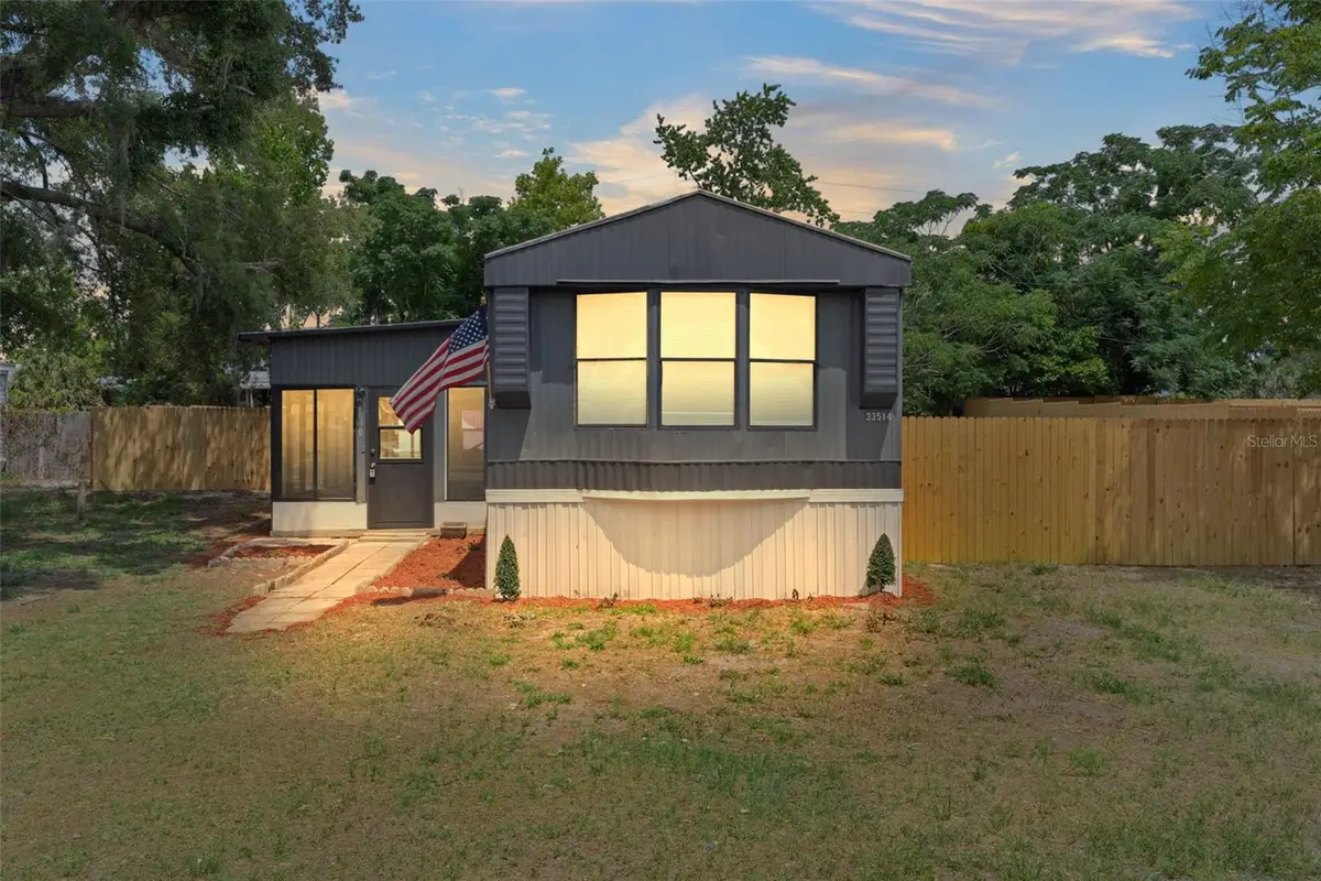 33514 Luana Court, Leesburg, FL 34788 - #1