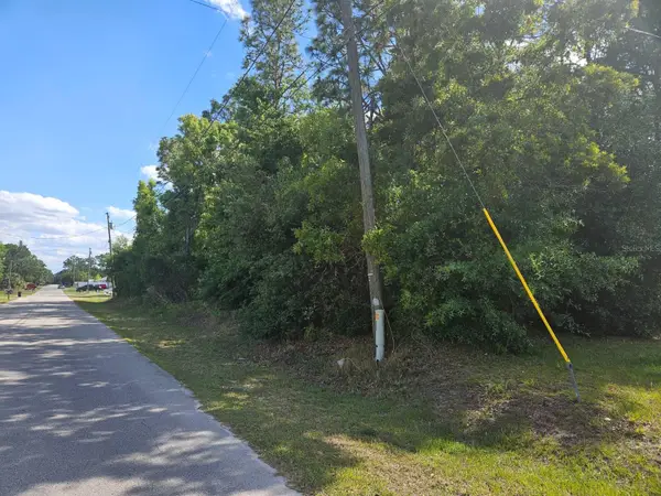 SE 89th Terrace, BELLEVIEW, FL 34420