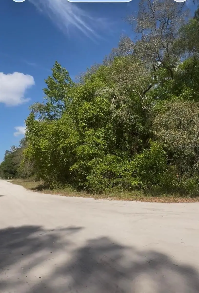 No Situs, Fort McCoy Anthony, FL 32134 - #3