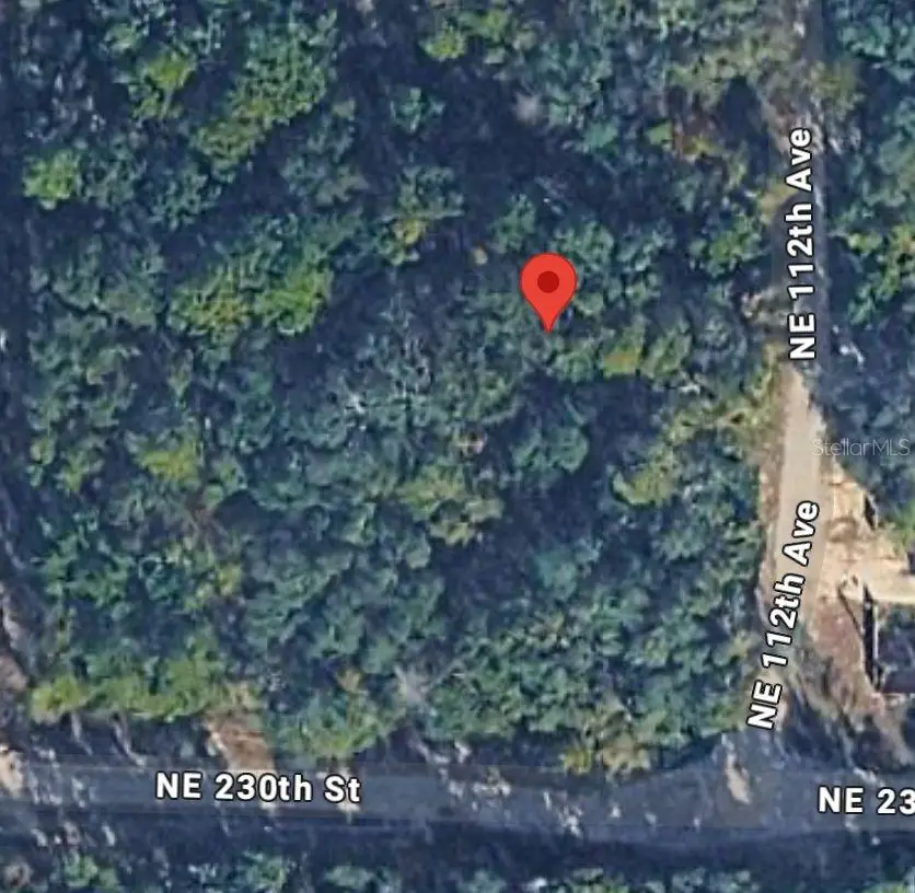 No Situs, Fort McCoy Anthony, FL 32134 - #3