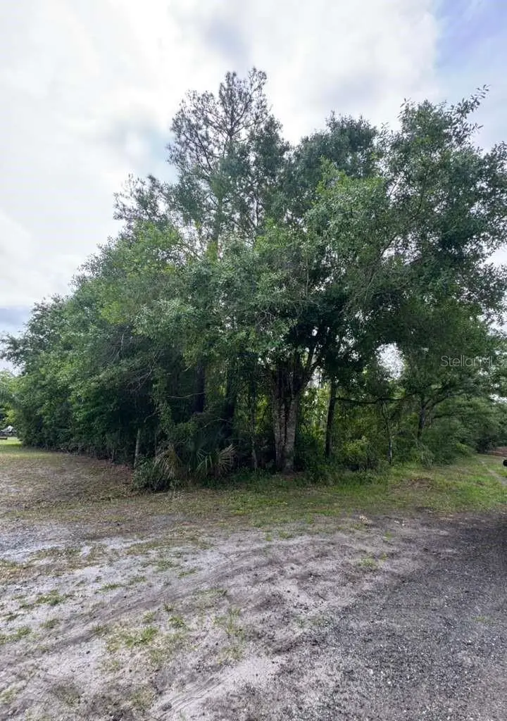 1249 Sable Palm Drive, Christmas, FL 32709 - #1