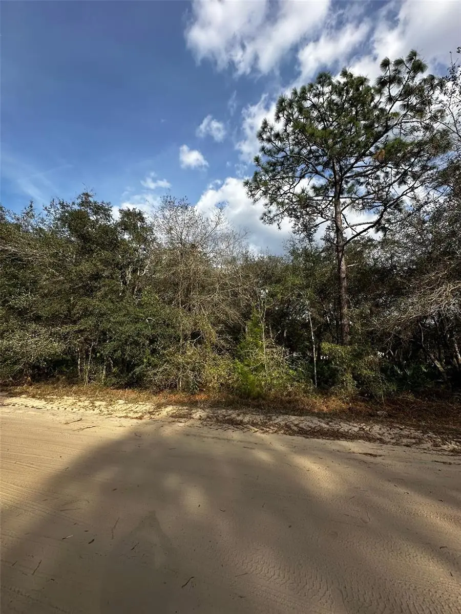13-10-24-4079-0060-0040, Interlachen, FL 32148 - #1