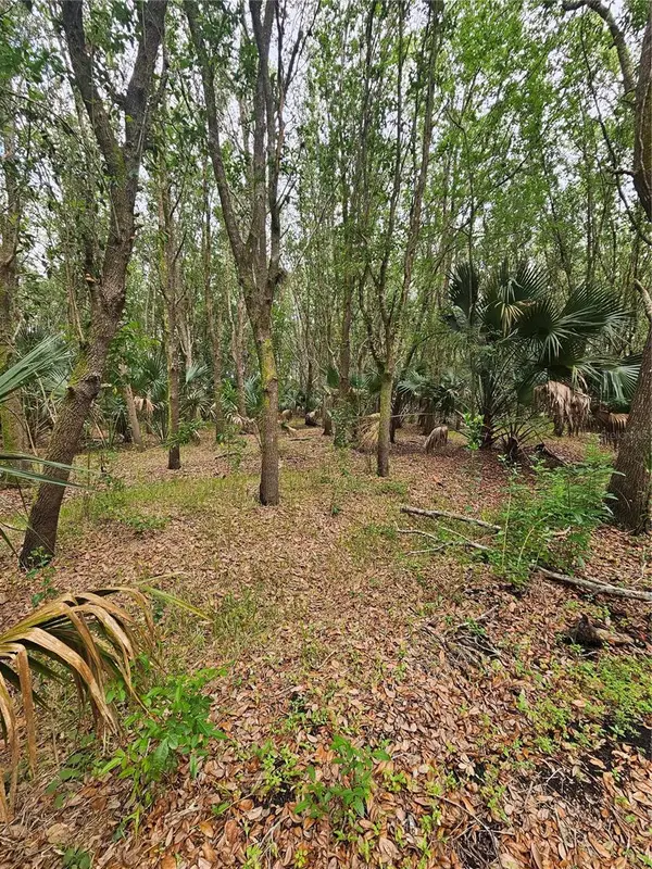 601 Howard Avenue, OVIEDO, FL 32765