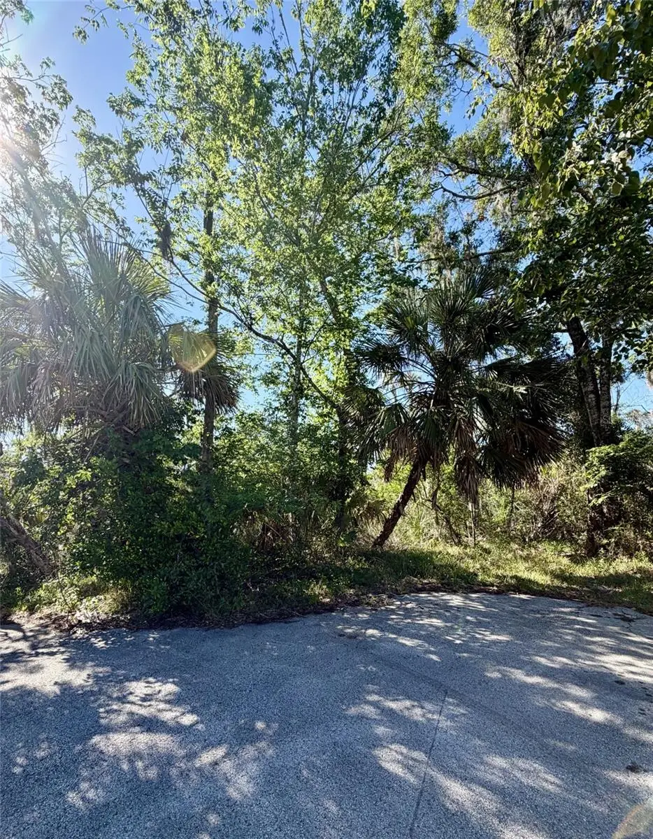 10900 W Larchwood Street, Homosassa, FL 34448 - #1