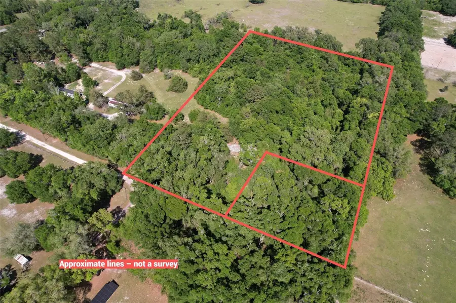 SE 164th Terrace, Williston, FL 32696 - #2