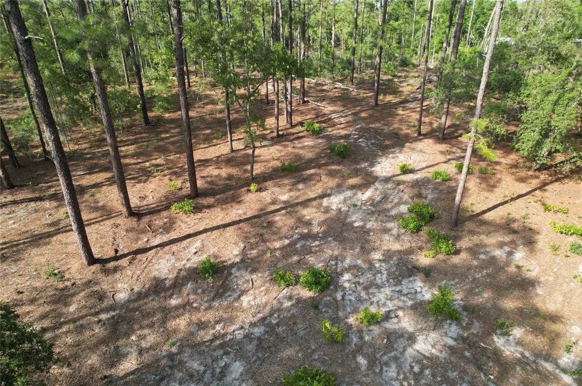 148th Court, Morriston, FL 32668 - #1
