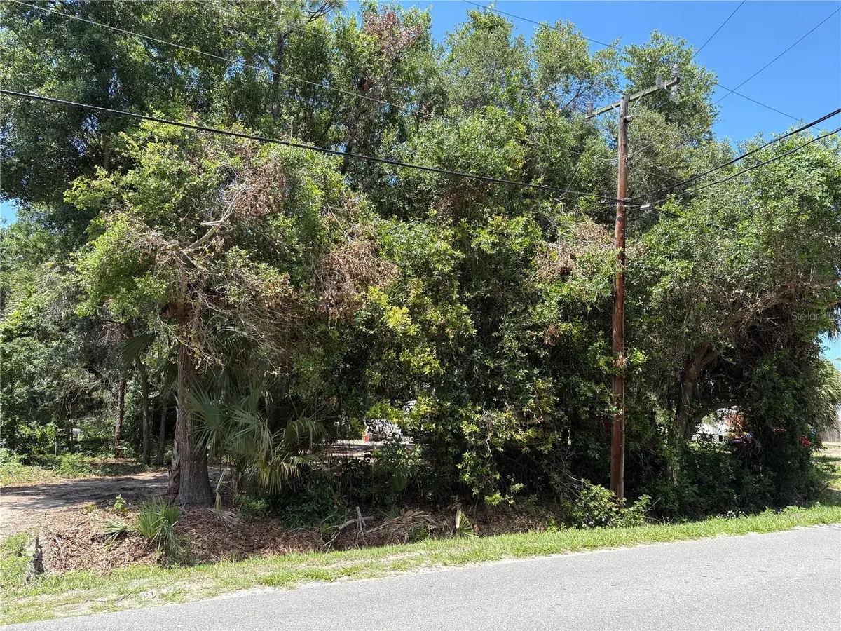 168 Canal Avenue, Oak Hill, FL 32759 - #1