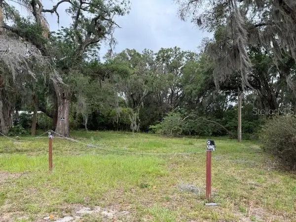 412 York Street, WILDWOOD, FL 34785