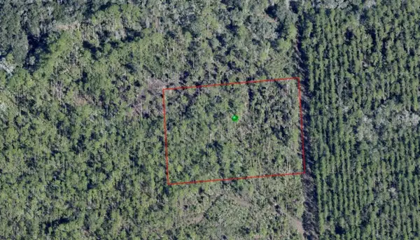 Lake Harney Road, OSTEEN, FL 32764