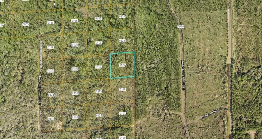 Lake Harney Road, Osteen, FL 32764 - #2
