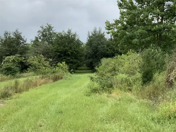 5079 Ondich Road, APOPKA, FL 32712