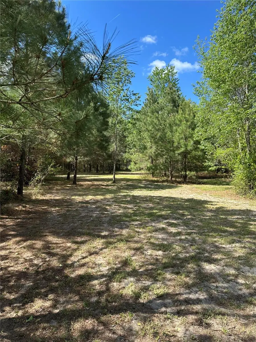 1449 SE October Road, Lake City, FL 32025 - #1