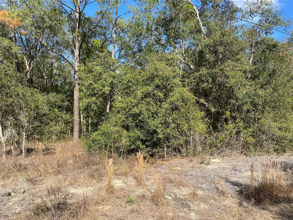 Southwest Beach Blvd, Dunnellon, FL 34431 - #1