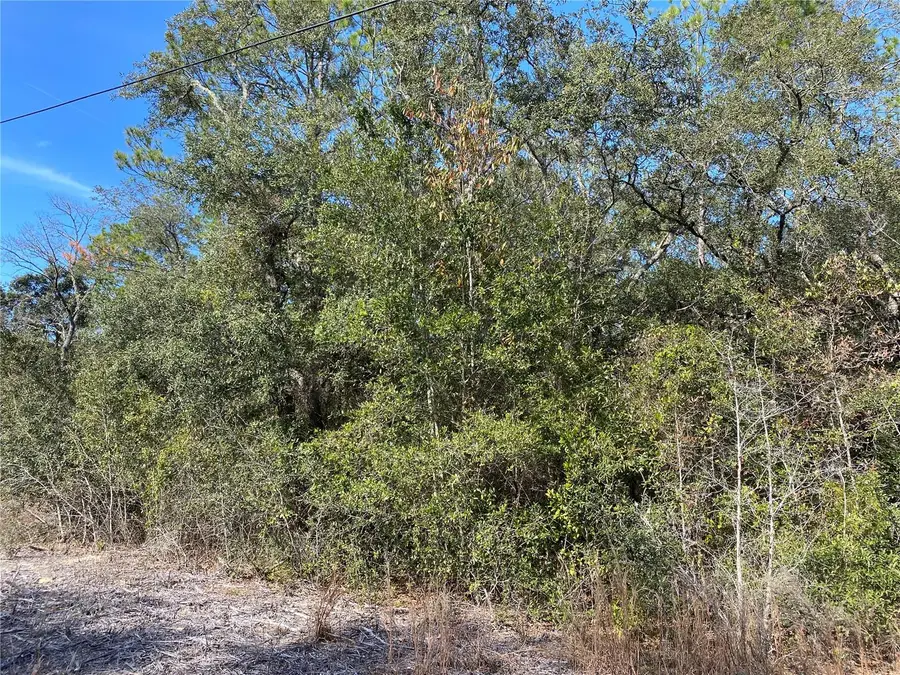 Southwest Beach Blvd, Dunnellon, FL 34431 - #2