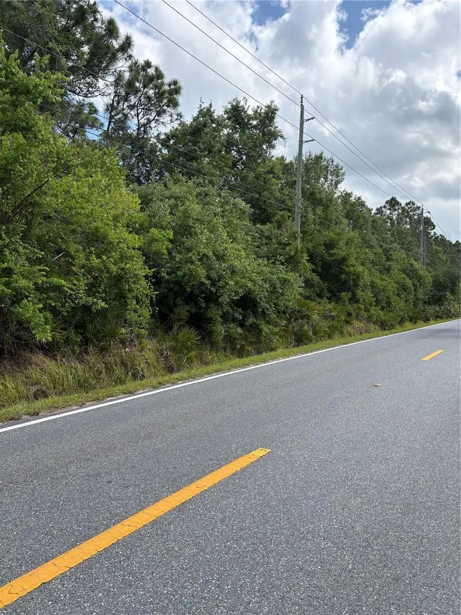 E Osceola Road, Geneva, FL 32732 - #3