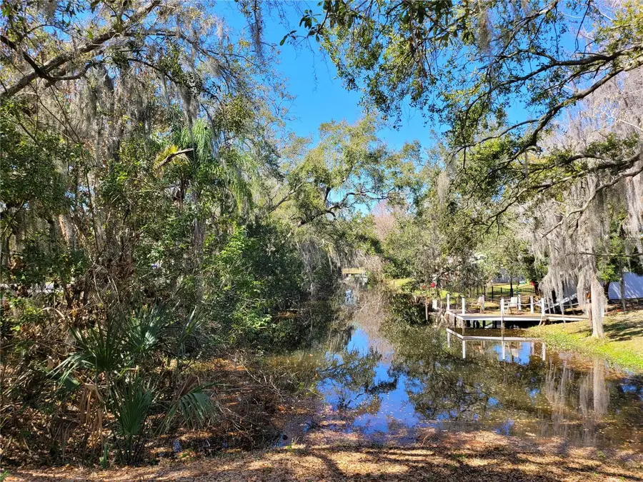 6606 Sawyer Shores Lane, Windermere, FL 34786 - #3
